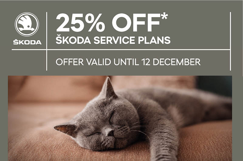 SKODA_service_plan_-_service_offer_img_3
